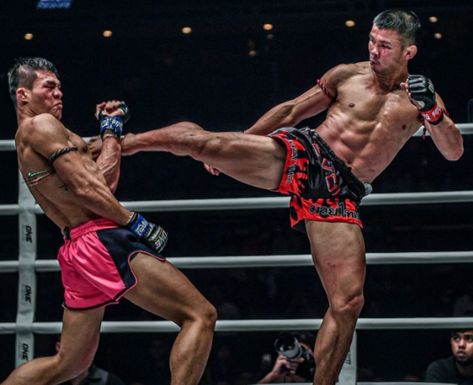 The Beauty of the Muay Thai Roundhouse Kick: Power, Precision, and Poetry in Motion